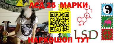 spice Кинель