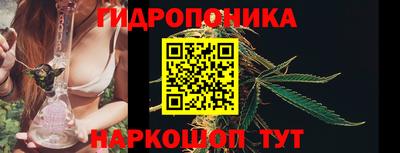 PSILOCYBIN Кингисепп