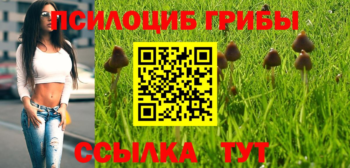 Галлюциногенные грибы Psilocybine cubensis  Вход с VPN  Энгельс 