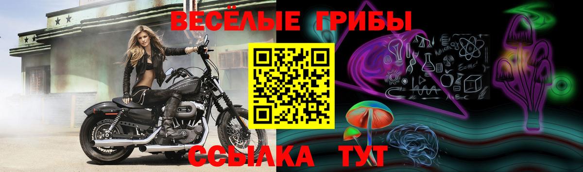 Псилоцибиновые грибы ЛСД Энгельс