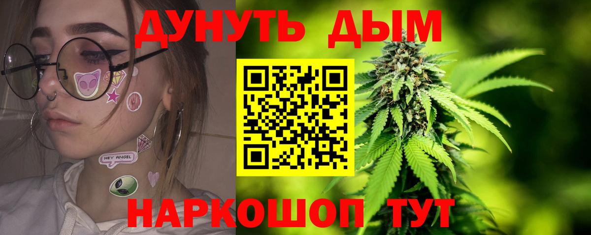 Бошки Шишки планчик Энгельс